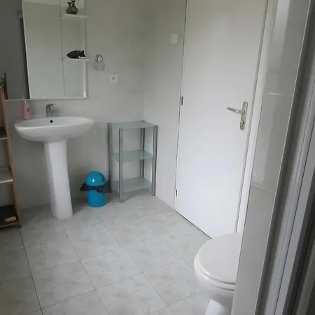 Nénuphar - Au Bas Marais Nalliers (Vendee)