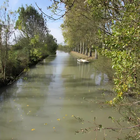Appartement Nénuphar - Au Bas Marais *