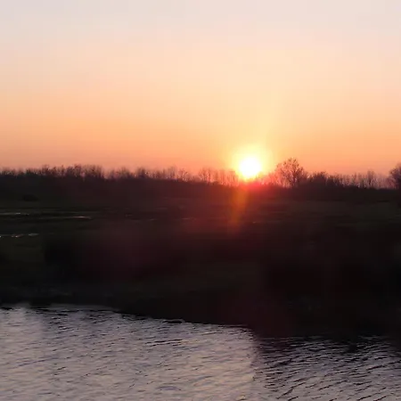 Nenuphar - Au Bas Marais Nalliers (Vendee)