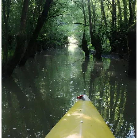 Nenuphar - Au Bas Marais *