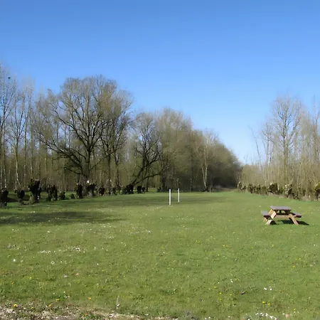 Nenuphar - Au Bas Marais Nalliers (Vendee)