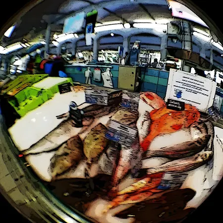 Nenuphar - Au Bas Marais Nalliers (Vendee)