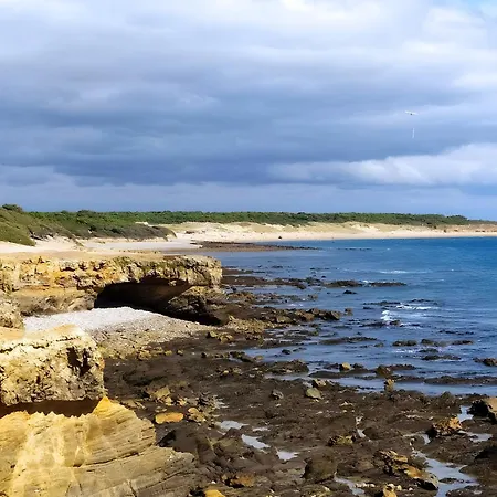 Nenuphar - Au Bas Marais