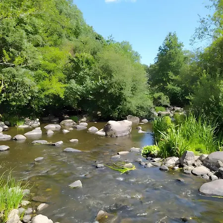 Nenuphar - Au Bas Marais