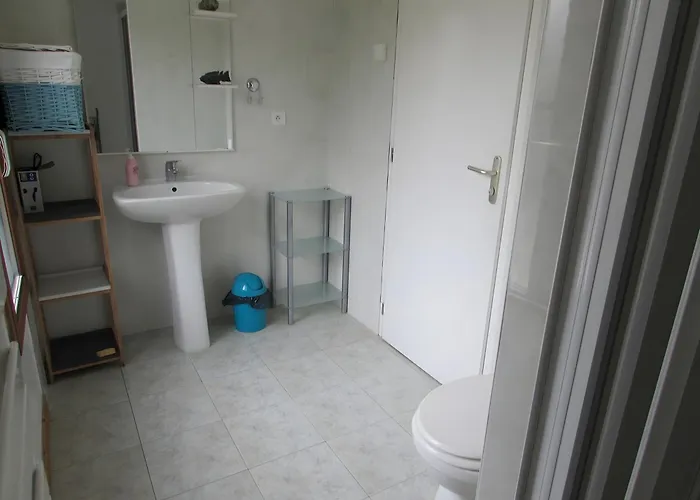 Nénuphar - Au Bas Marais Nalliers (Vendee)