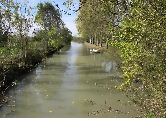 Appartement Nénuphar - Au Bas Marais *