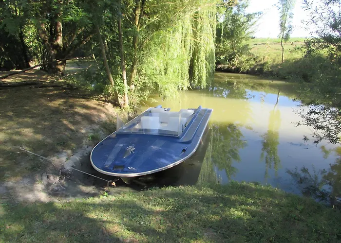 Nénuphar - Au Bas Marais *