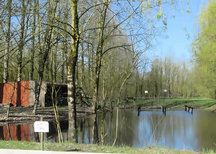 Nénuphar - Au Bas Marais Nalliers (Vendee)