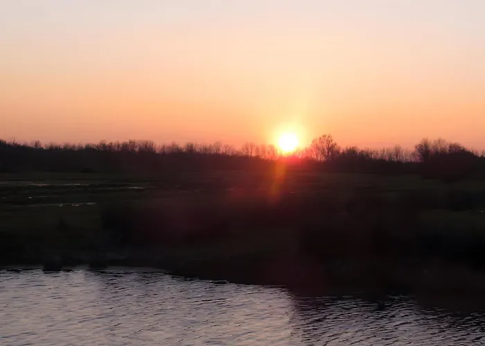 Nenuphar - Au Bas Marais Nalliers (Vendee)