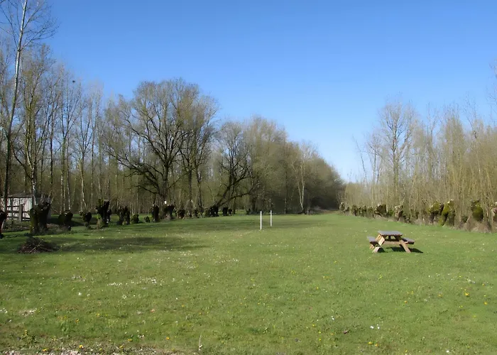 Nenuphar - Au Bas Marais Nalliers (Vendee)