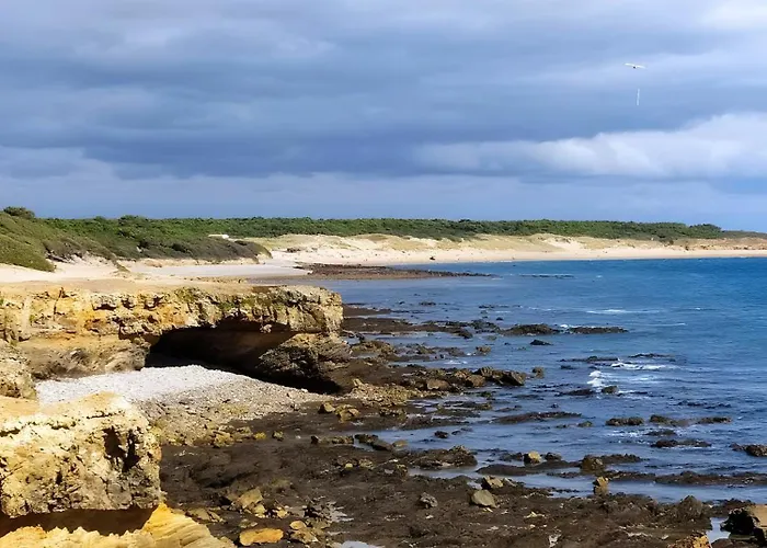 Nenuphar - Au Bas Marais