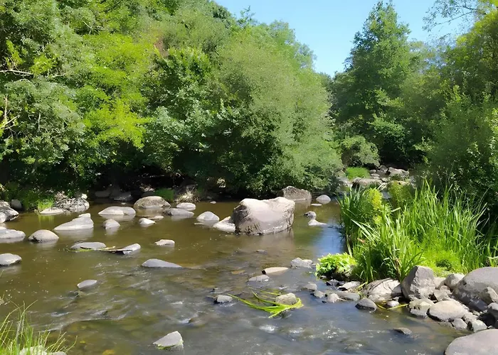 Nenuphar - Au Bas Marais